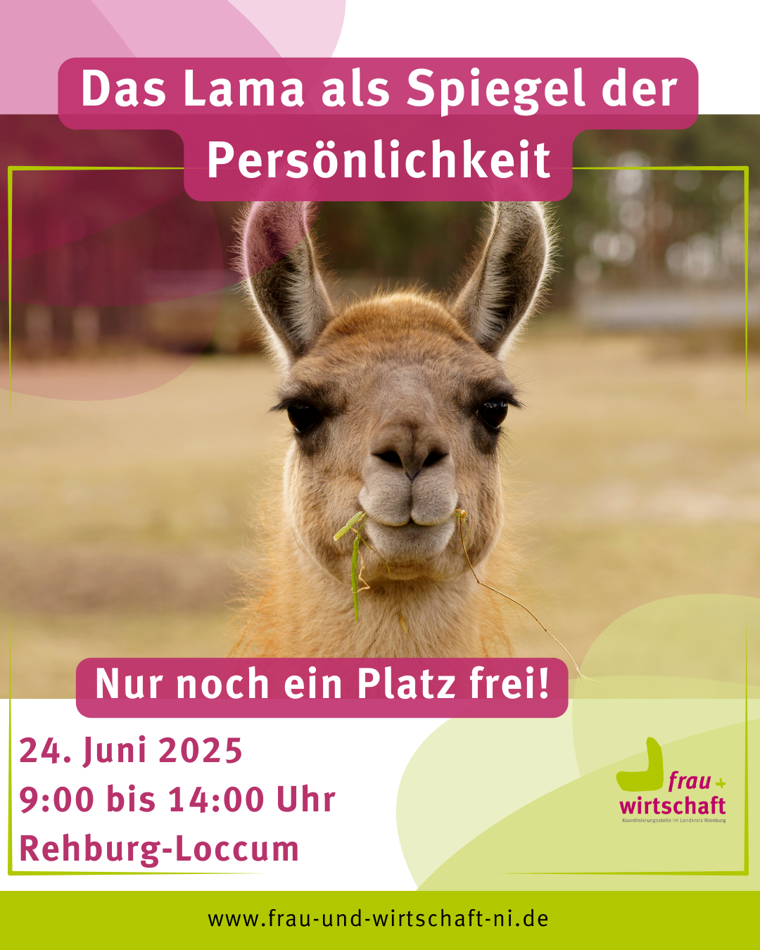 Entdecken Sie sich neu – mit dem Lama als Spiegel